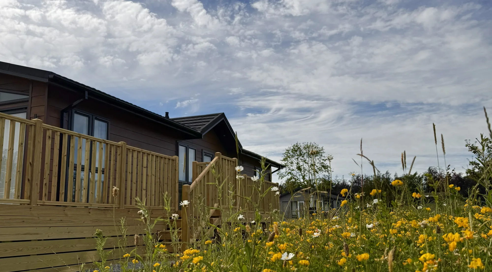 External