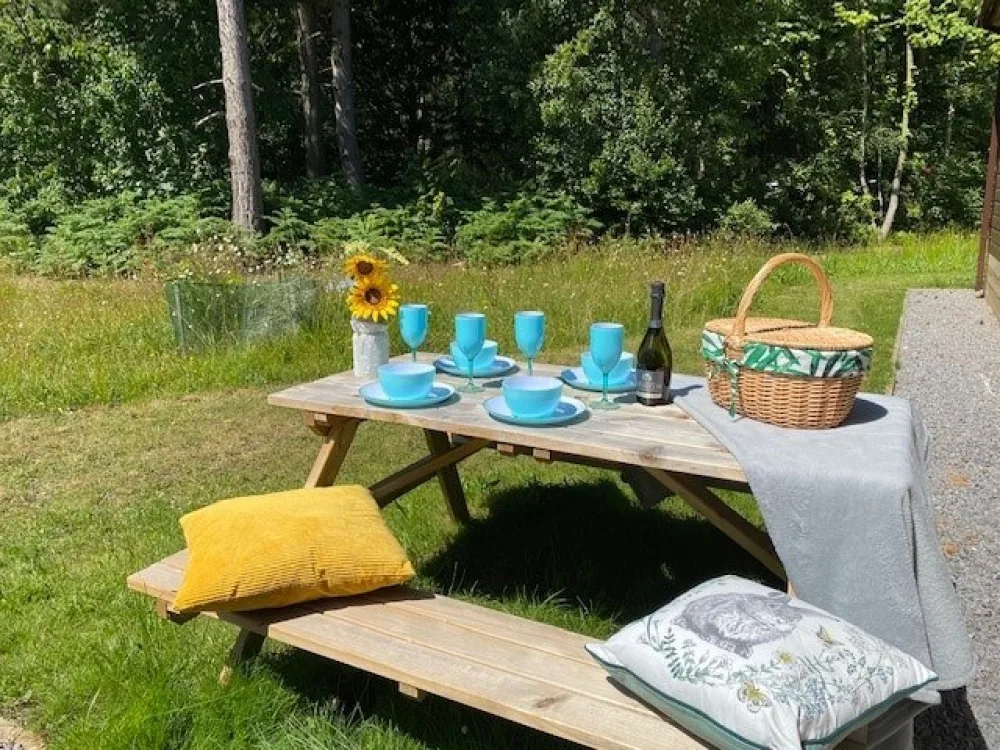 Picnicareaa