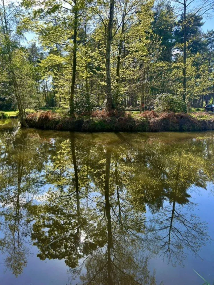 Oak Tree Lodge Fishing Pond