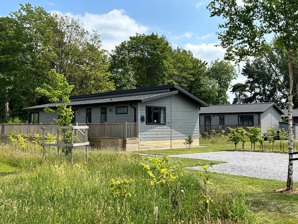 Dragonfly lodge