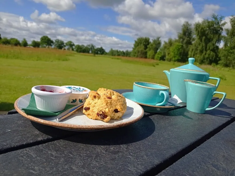 Olivias Tearoom d72d398f479da888ba0babe05d37afd7