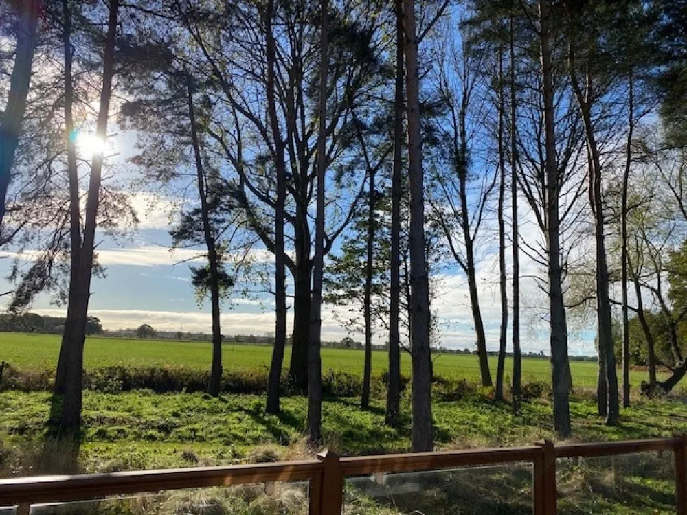View on a autumn morning