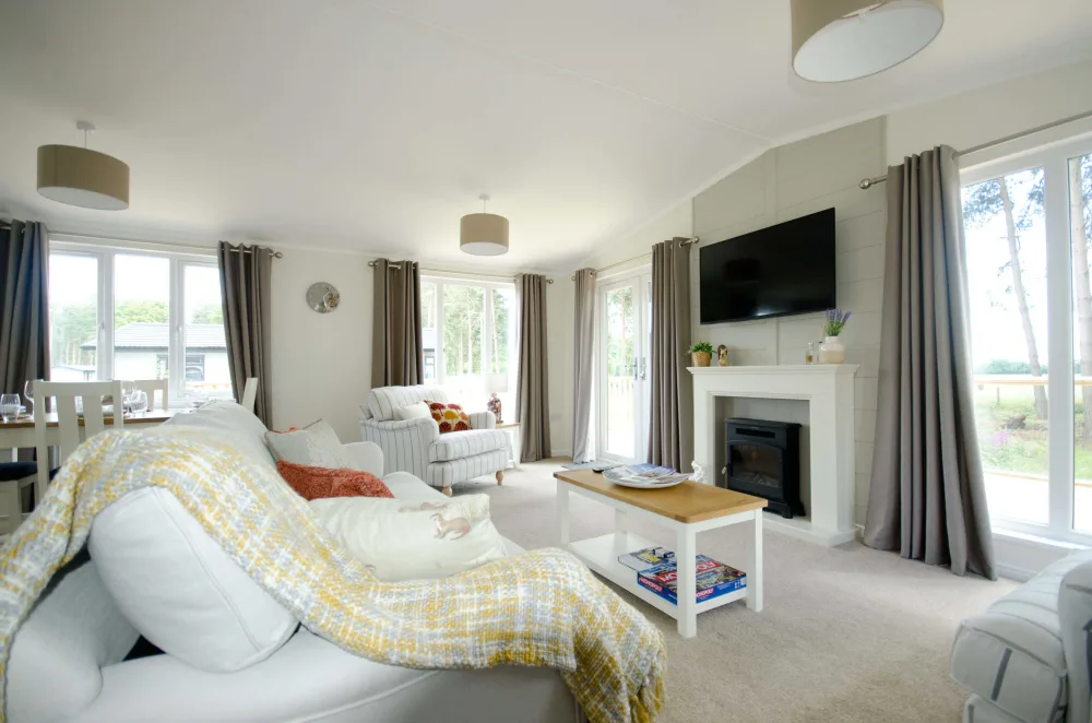 Living Room with TV
