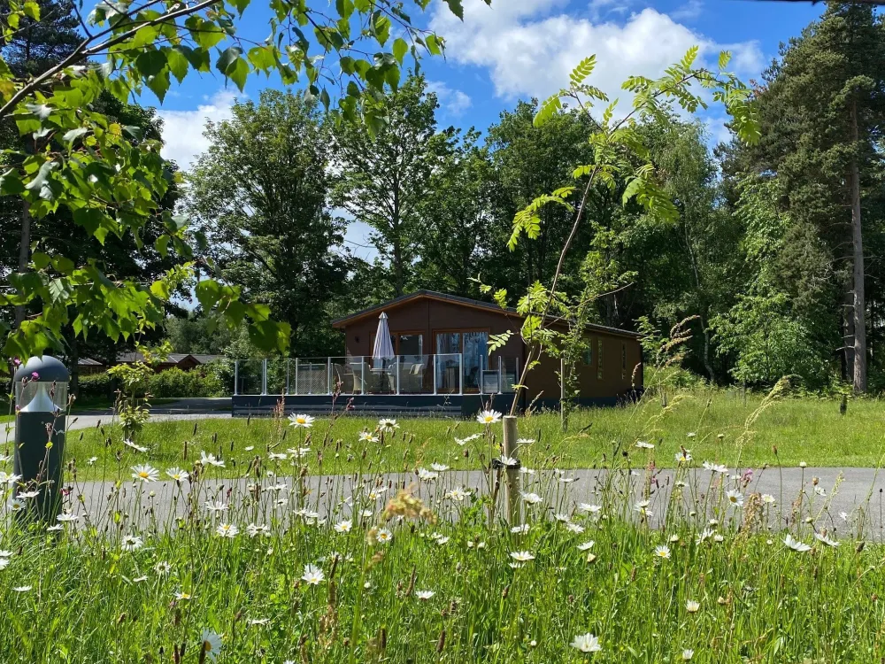 Honeycomb Lodge