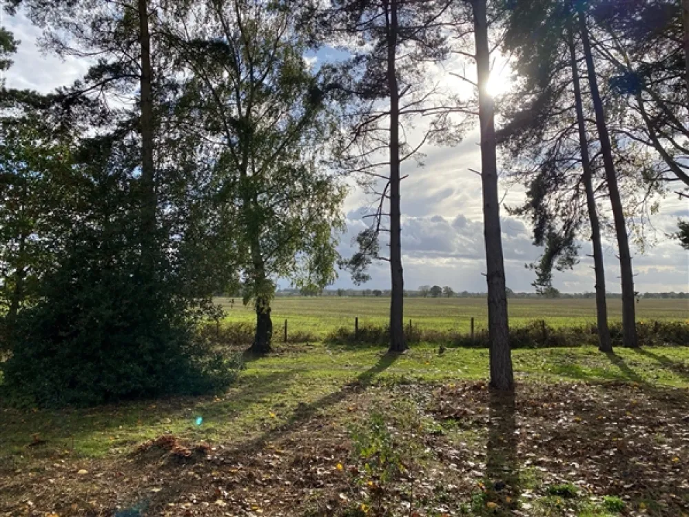 Viewa